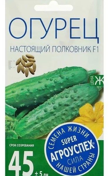 Семена Огурец Настоящий полковник F1 скороспел