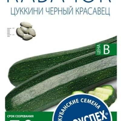 СЕМЕНА  КАБАЧОК ЦУКИНИ  "ЧЕРНЫЙ КРАСАВЕЦ"  РАННИЙ (АГРОУСПЕХ)