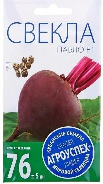 Свекла Пабло ранняя