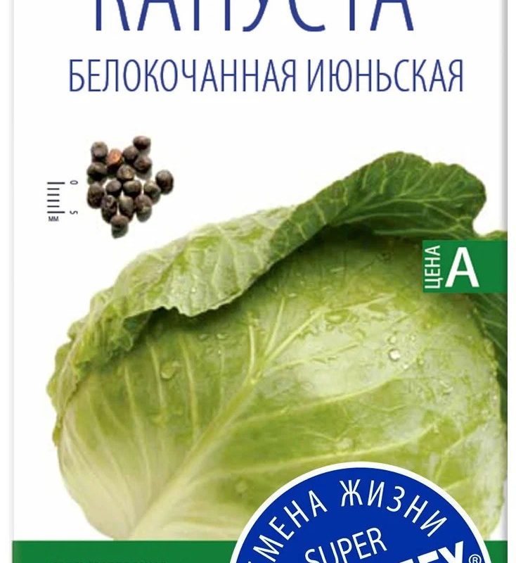КАПУСТА БЕЛОКОЧАННАЯ "ИЮНЬСКАЯ" УЛЬТРАСКОРОСПЕЛАЯ