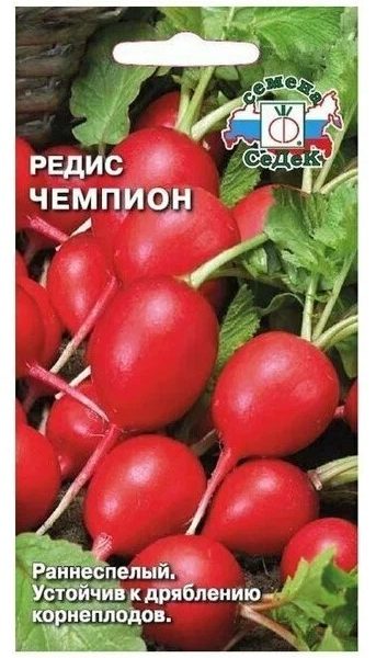 РЕДИС ЧЕМПИОН