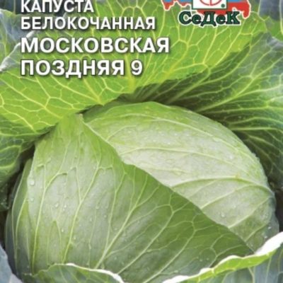 КАПУСТА БЕЛОКОЧАННАЯ "МОСКОВСКАЯ" ПОЗДНЯЯ 9 ПОЗДНЕСПЕЛАЯ (СЕДЕК)