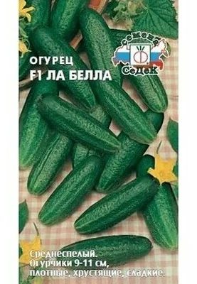 ОГУРЕЦ ЛА БЕЛЛА СРЕДНЕСПЕЛЫЙ