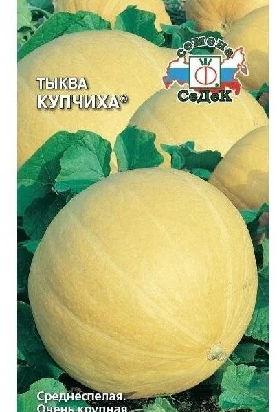 ТЫКВА КУПЧИХА КРУПНОПЛОДНАЯ