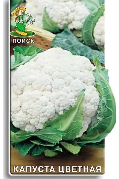 КАПУСТА ЦВЕТНАЯ "СНОУБОЛЛ" СКОРОСПЕЛАЯ (ПОИСК)