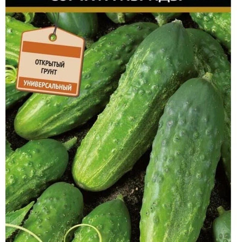 Огурец Кустовой раннеспелый