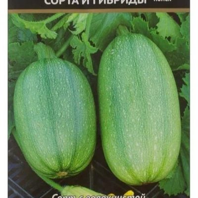 Кабачок Спагетти Равиола