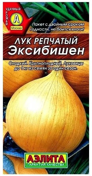 СЕМЕНА ЛУК РЕПЧАТЫЙ ЭКСИБИШЕН 0