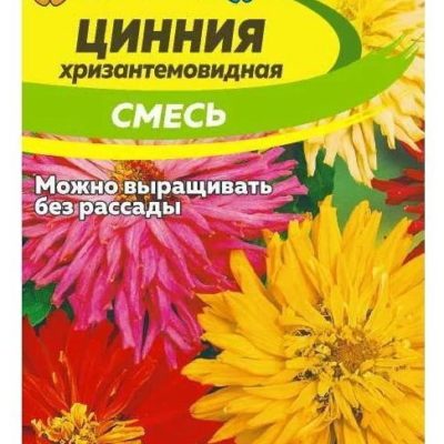 ЦИННИЯ ХРИЗАНТЕМОВИДНАЯ СМЕСЬ