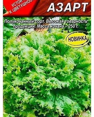 СЕМЕНА САЛАТ "ГЕЙЗЕР"