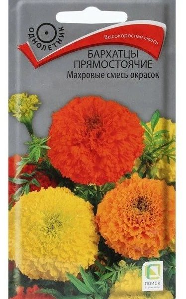 Бархатцы прямостоячие Махровая смесь