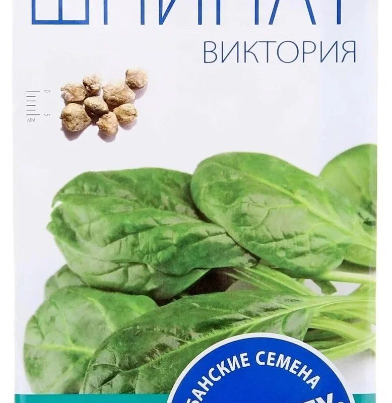 СЕМЕНА ШПИНАТ "ВИКТОРИЯ"