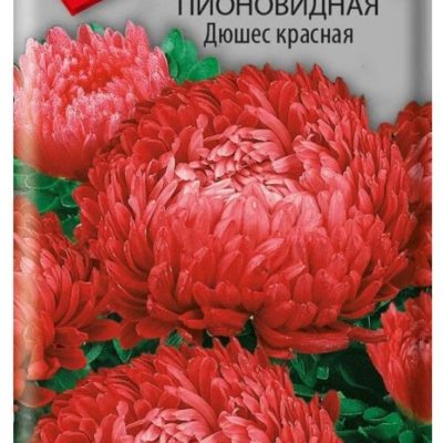 Семена Астра пионовидная Дюшес красная