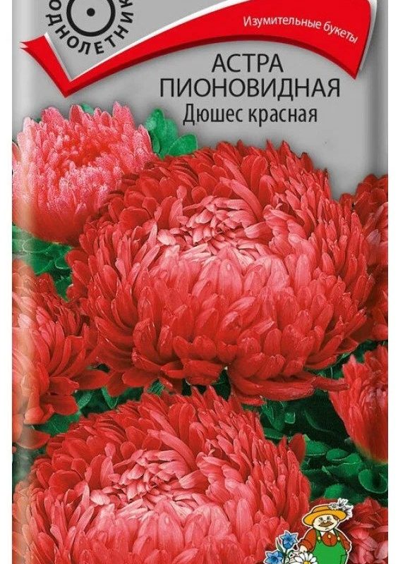 Семена Астра пионовидная Дюшес красная