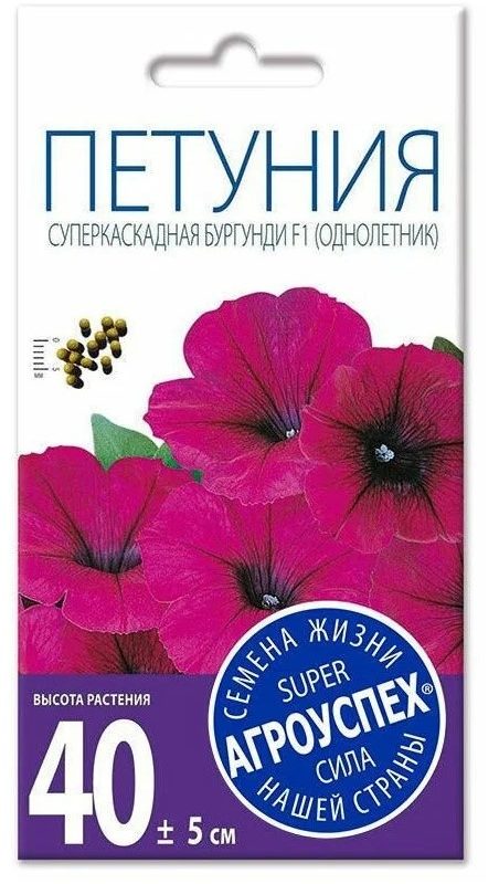 Петуния суперкаскадная бургунди