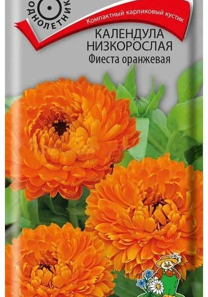 Календула Золотце оранжевая