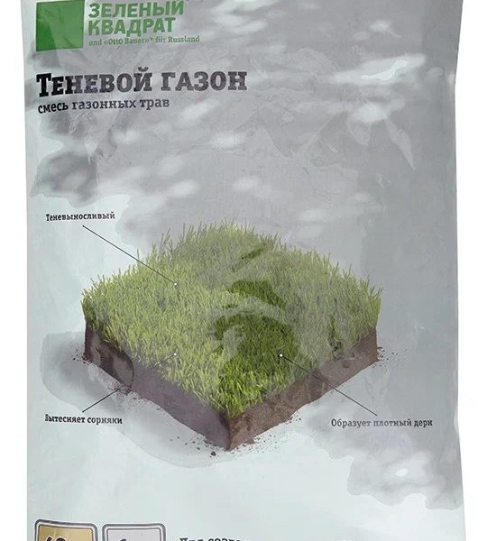 ГАЗОН ТЕНЕВОЙ 1 КГ