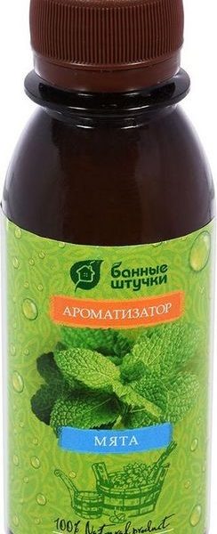 Ароматизатор Мята 100 мл