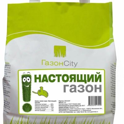 ГАЗОН НАСТОЯЩИЙ 2 кг ГазонСити
