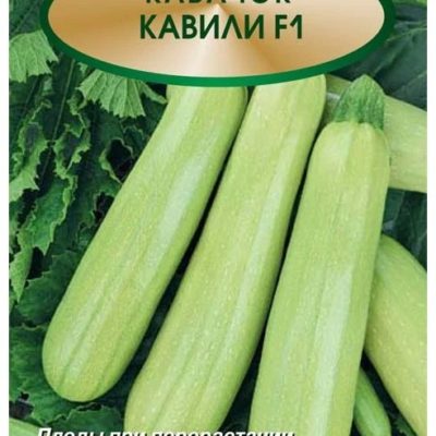 Семена Кабачок Белоплодный Поиск