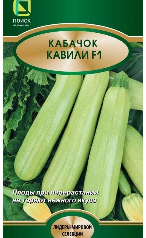Семена Кабачок Белоплодный Поиск