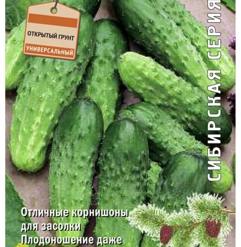 Семена Огурец Светлячок Поиск