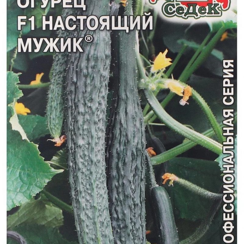 Семена Огурец Настоящий мужик F1