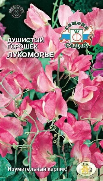 Семена Душистый горошек Лукоморье розово-малиновый