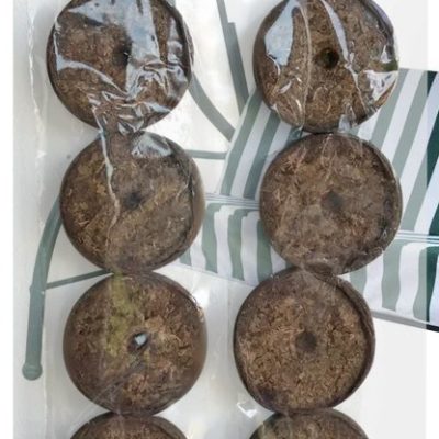 Грунт Таблетка торфяная 10шт. в уп.