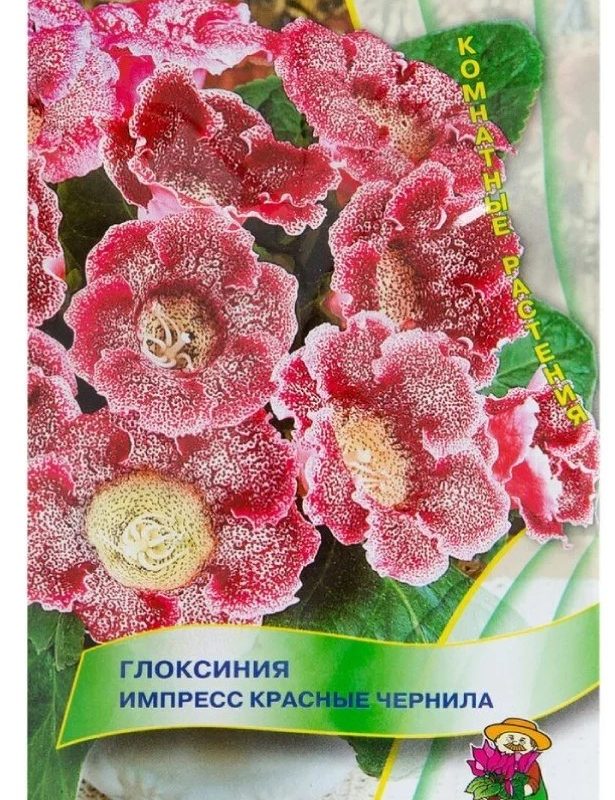 Цветы Глоксиния Импресс Красные Чернила