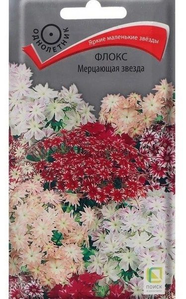 Семена Флокс (друммонда) Мерцающая Звезда