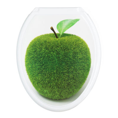 Сиденье для унитаза Яблоко