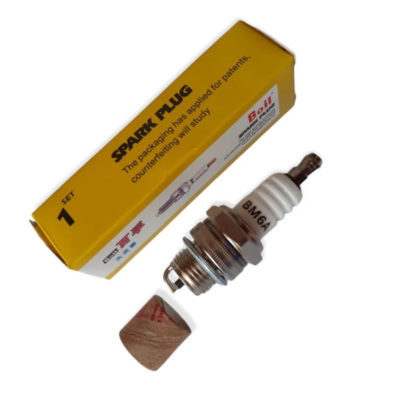 Свеча зажигания SparkPlug Boil