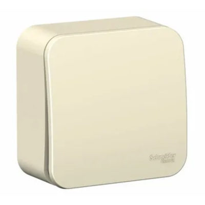 Выключатель 1ОП изол.пл 10А 250В молочный BLANCA