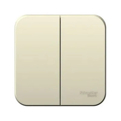 Выключатель 2ОП 10А 250В молочный BLANCA