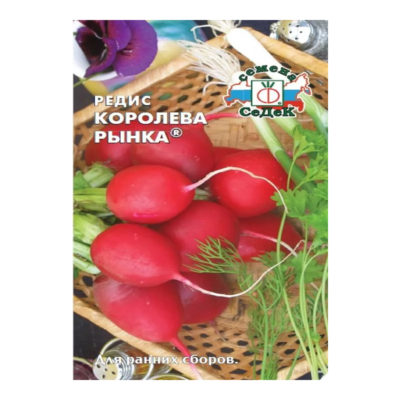 РЕДИС КОРОЛЕВА РЫНКА