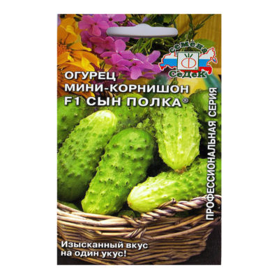 Огурец Сын полка Корнишон