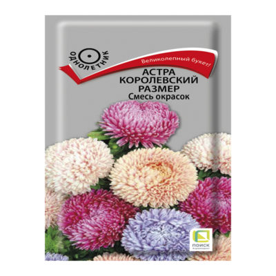 Астра Королевский размер Смесь окрасок