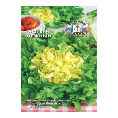САЛАТ ЛИСТОВОЙ НЕЖНЫЙ(ЭНДИВИЙ)