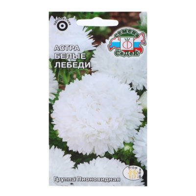 Астра пионовидная Белые лебеди