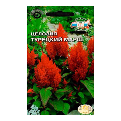 Целозия Турецкий марш