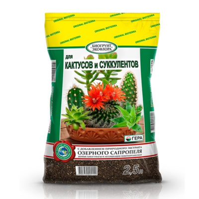 БиоГрунт "Для кактусов и суккулентов" 2