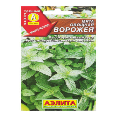 Семена Мята Ворожея