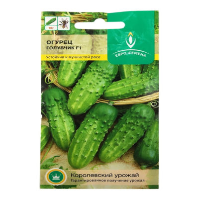 Семена Огурец Голубчик F1