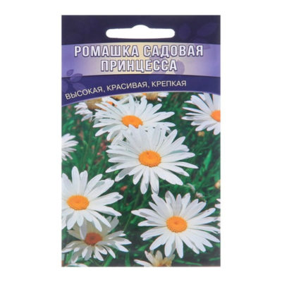 Ромашка Садовая принцесса