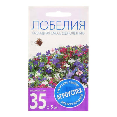 Флокс Крупноцветковая смесь