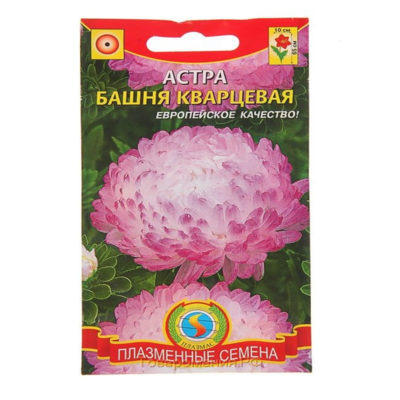 Семена Астра Башня