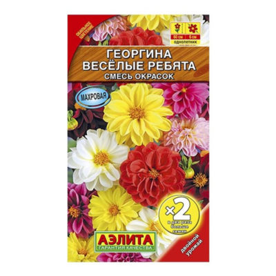 Георгина Веселые ребята