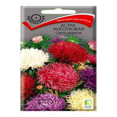 Астра коготковая Смесь окрасок