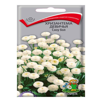 Хризантема Девичья сноубол